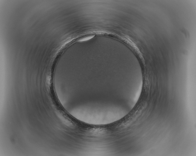 X0000112910063200909211040