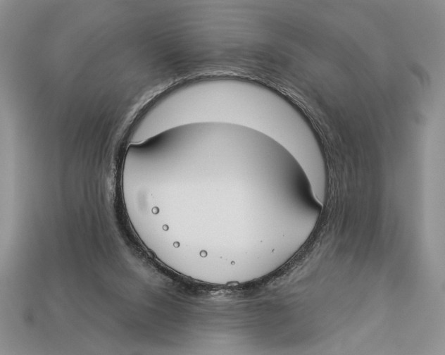 X0000112910064200909211040