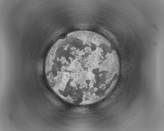 X0000112910065200909211040