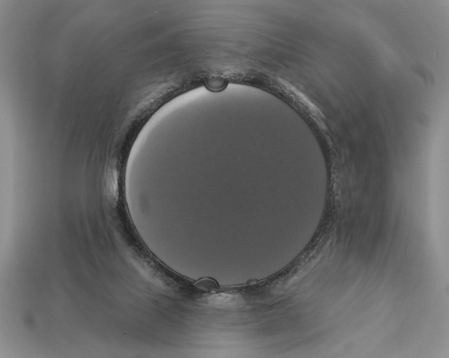X0000112910067200909211040