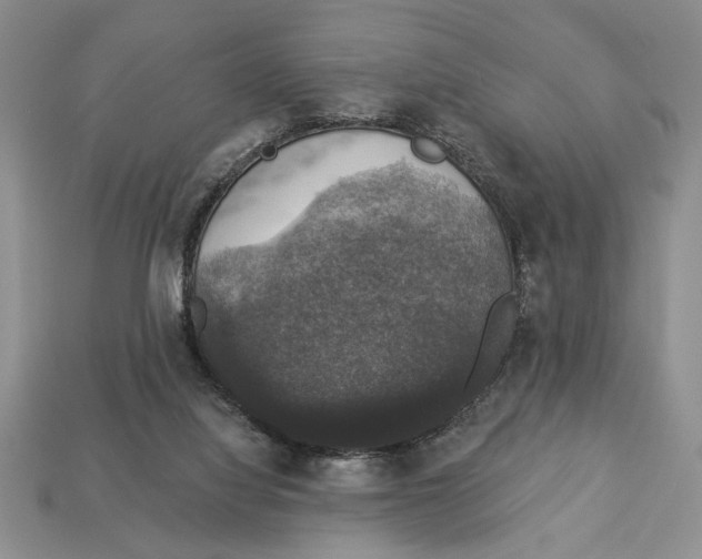 X0000112910068200909211040