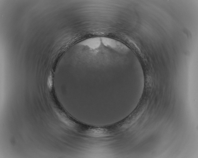 X0000112910069200909211040