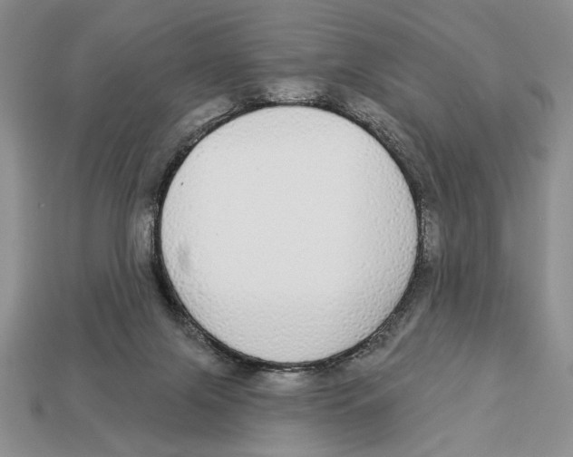 X0000112910071200909211040