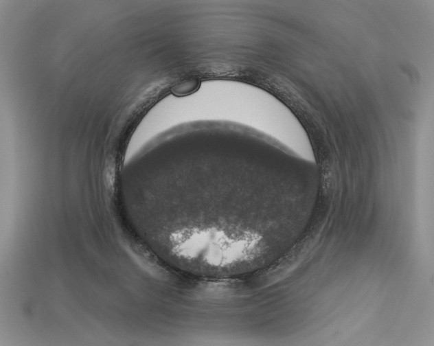 X0000112910072200909211040