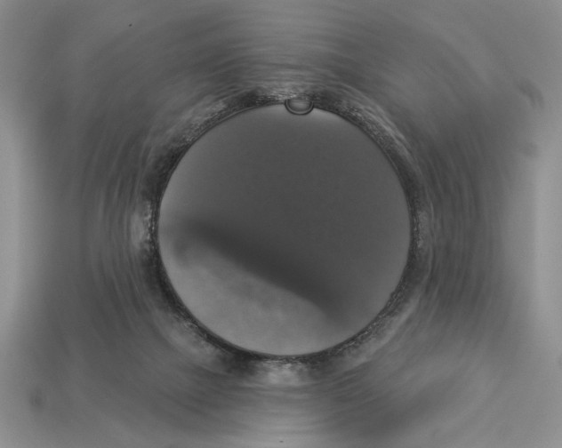 X0000112910073200909211040
