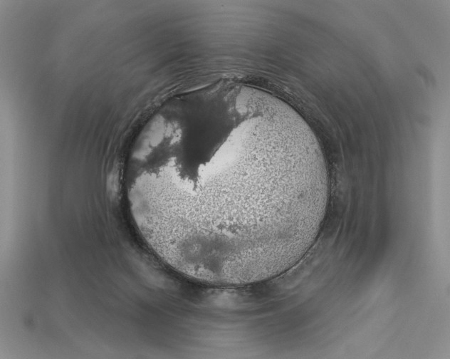 X0000112910074200909211040