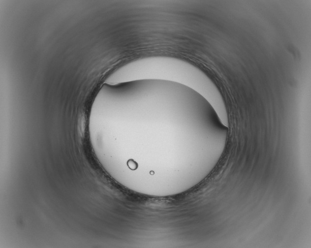 X0000112910076200909211040