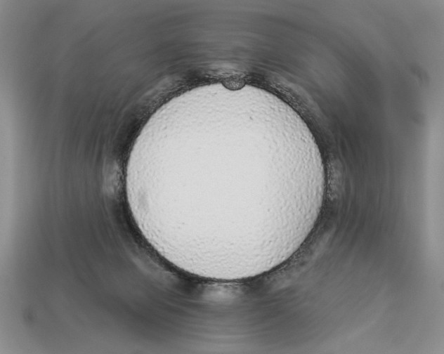 X0000112910077200909211040