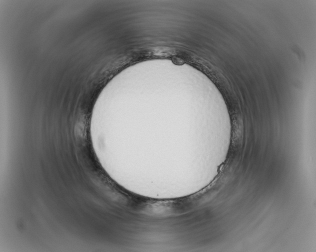 X0000112910078200909211040