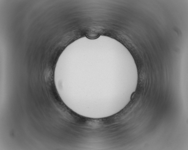 X0000112910079200909211040