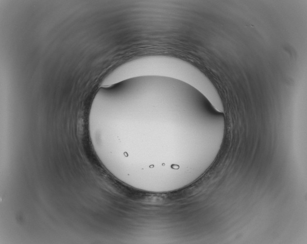X0000112910080200909211040