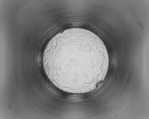 X0000112910082200909211040
