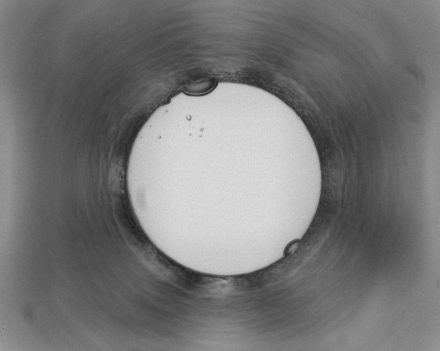 X0000112910083200909211040