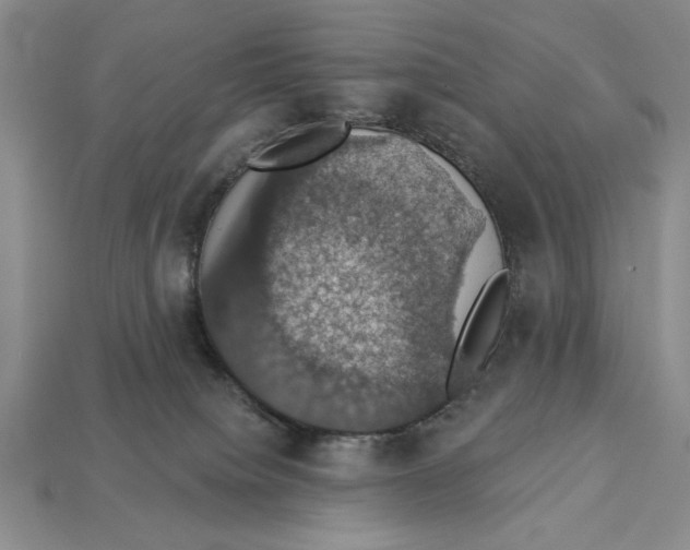 X0000112910084200909211040