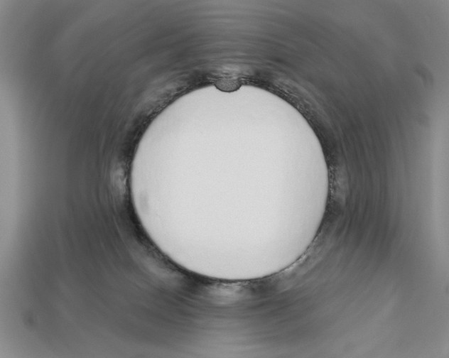 X0000112910086200909211040