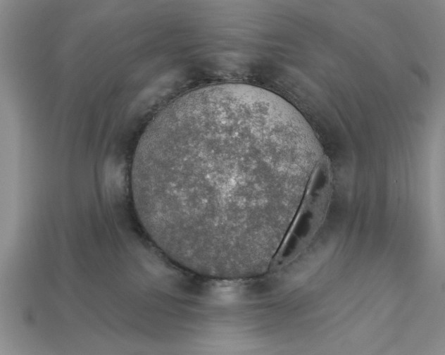 X0000112910088200909211041