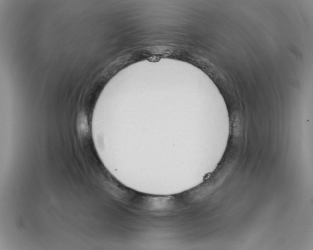 X0000112910089200909211041