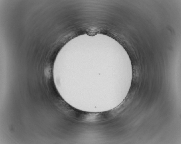 X0000112910090200909211041