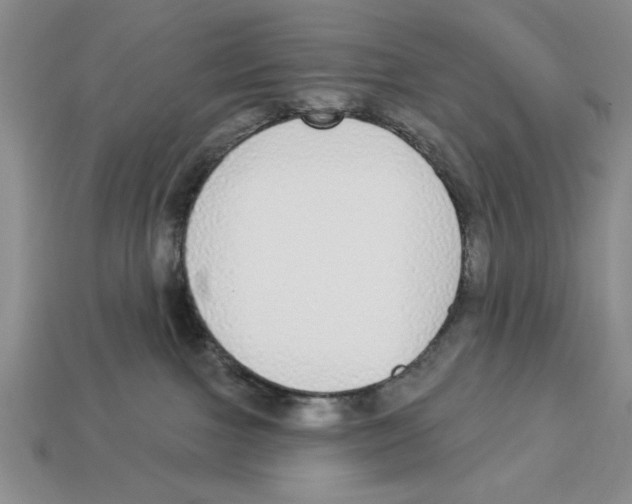 X0000112910091200909211041