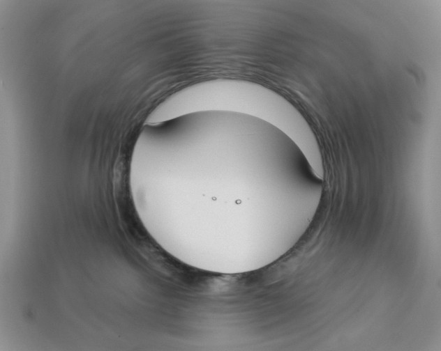 X0000112910092200909211041