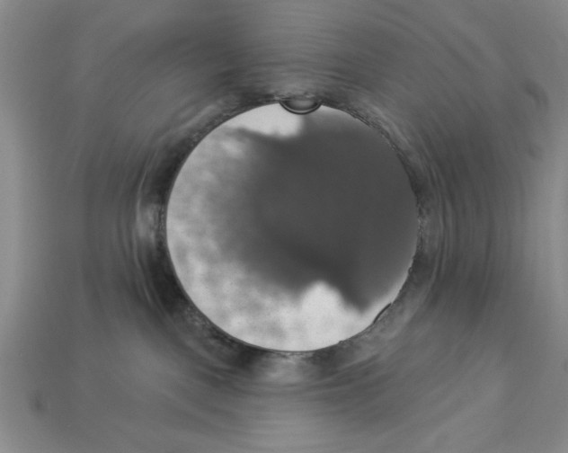 X0000112910093200909211041