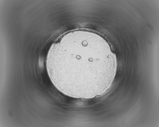 X0000112910094200909211041