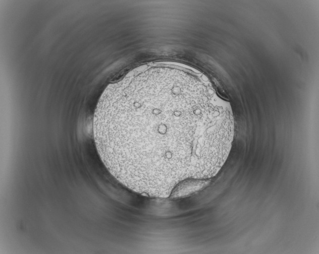 X0000112910095200909211041