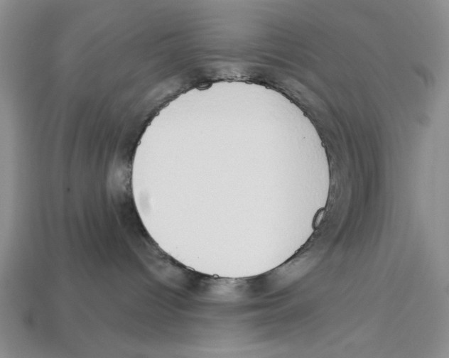X0000112910096200909211041