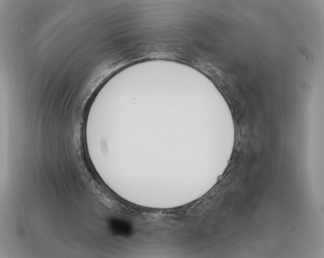 X0000112910098200909211040