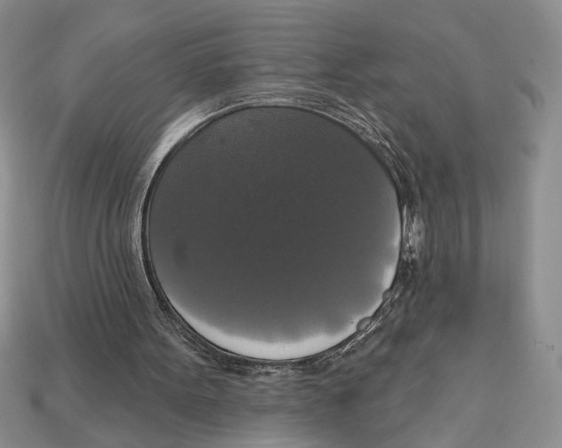 X0000112910099200909211040