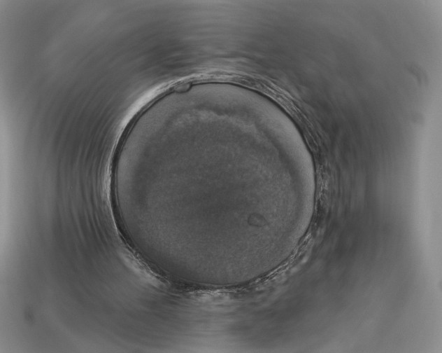 X0000112910100200909211040
