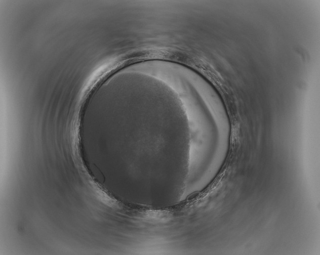 X0000112910101200909211040