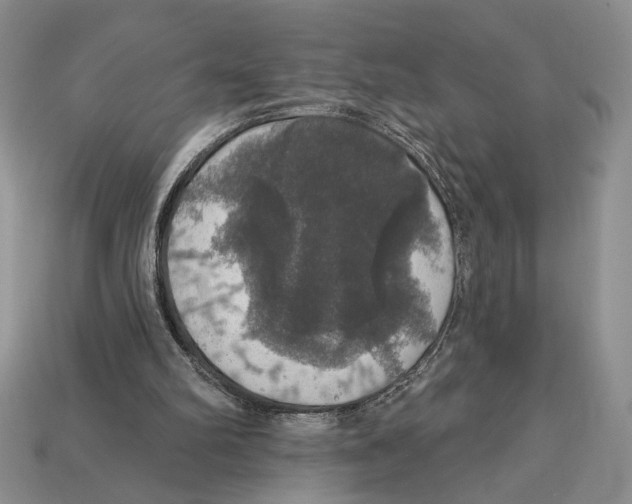 X0000112910102200909211040