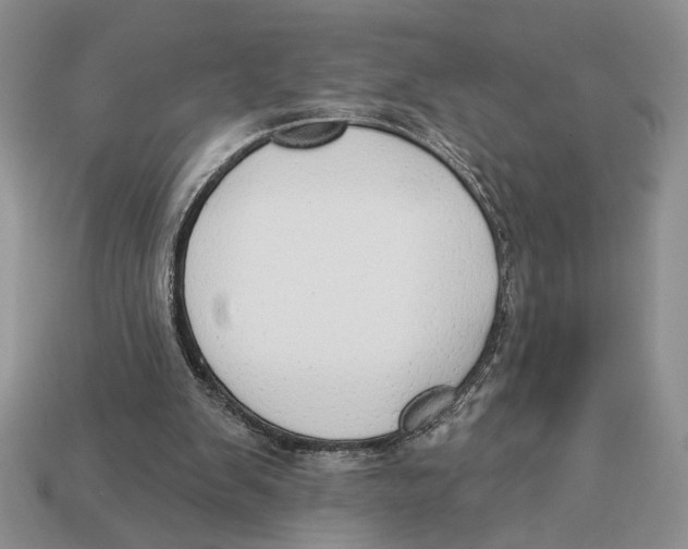 X0000112910103200909211040