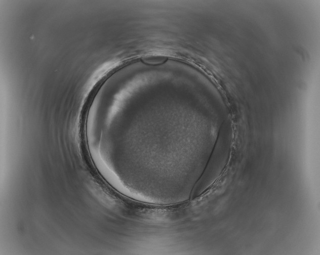 X0000112910104200909211040