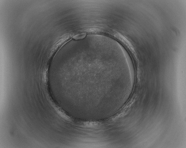 X0000112910105200909211040