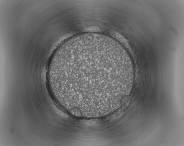 X0000112910106200909211040