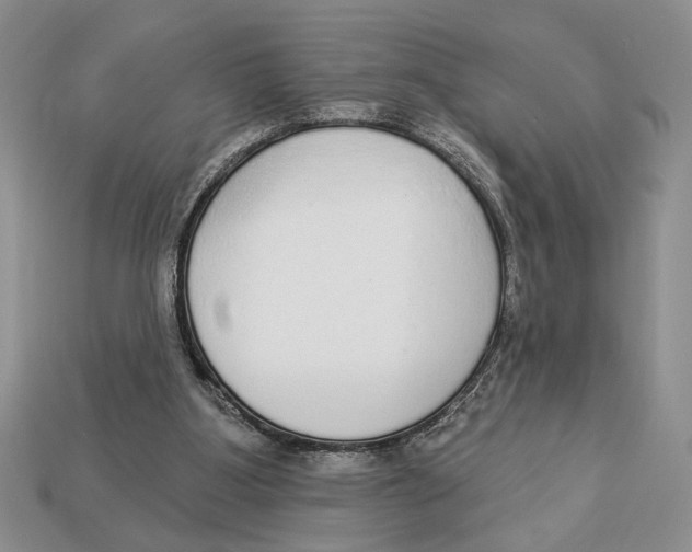 X0000112910107200909211040