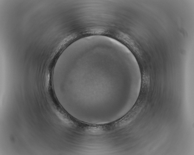 X0000112910110200909211040