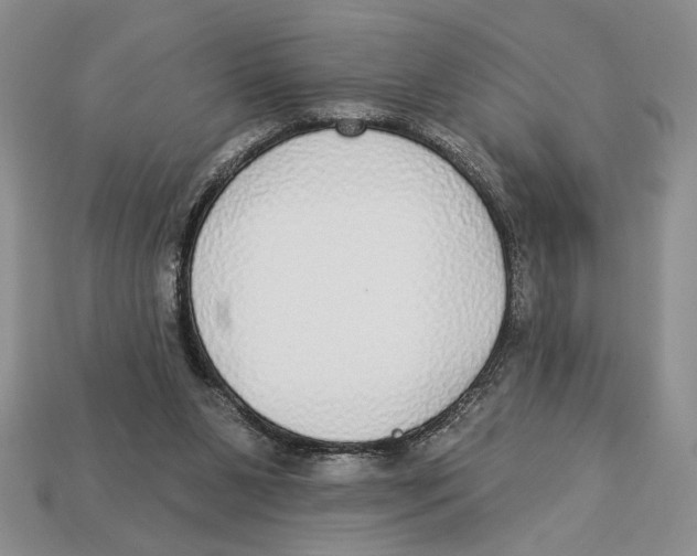 X0000112910111200909211040