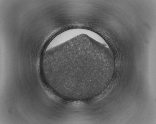 X0000112910112200909211040