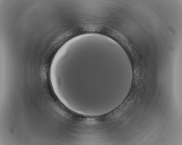 X0000112910114200909211040