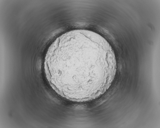X0000112910115200909211040
