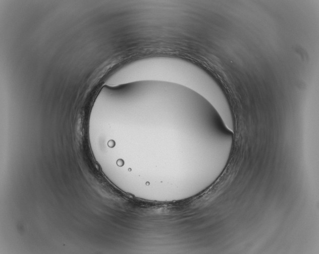 X0000112910116200909211040