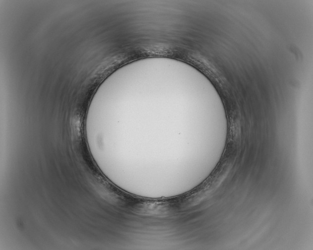 X0000112910117200909211040