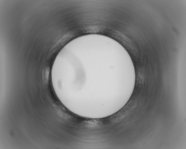 X0000112910118200909211040
