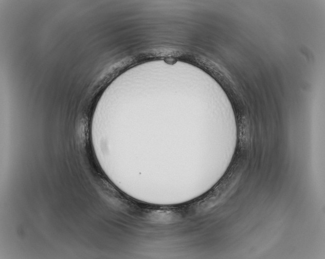 X0000112910119200909211040