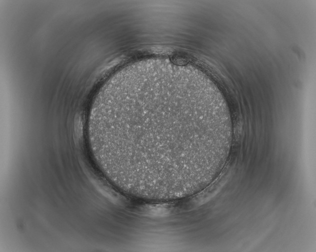 X0000112910120200909211040