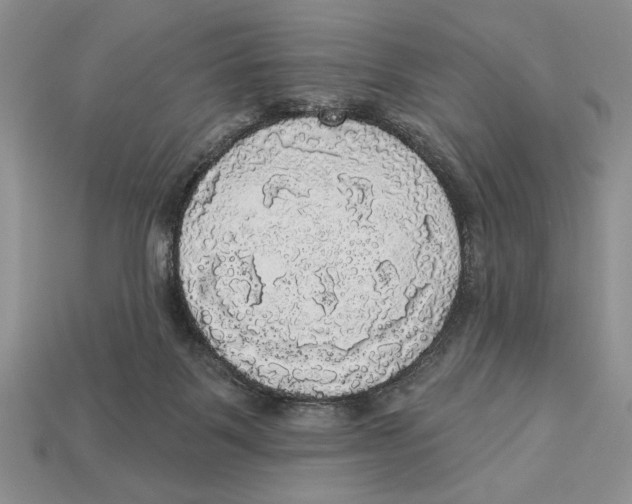 X0000112910123200909211039