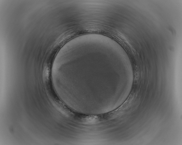 X0000112910124200909211039